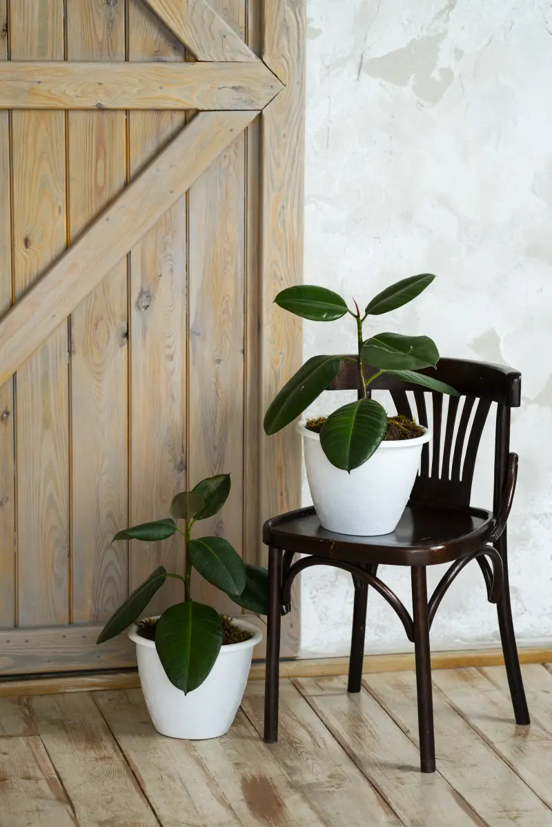 Imagen de la casa rural